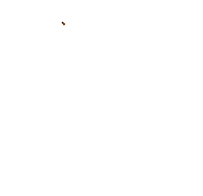 ͤ